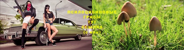 каннабис Баксан
