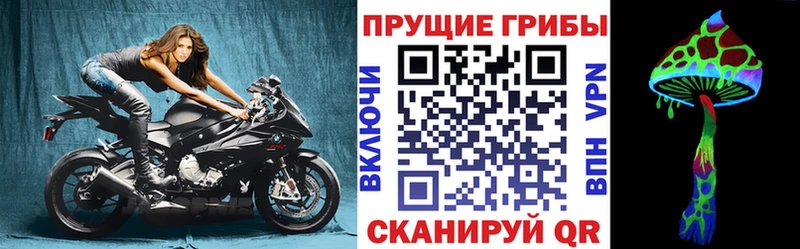 Галлюциногенные грибы Psilocybine cubensis  где купить наркотик  Белово 