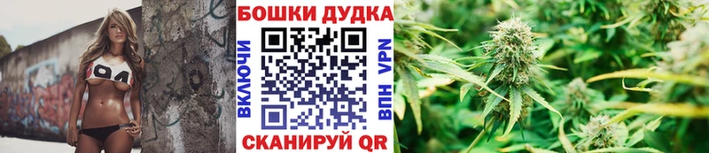 Бошки марихуана Amnesia Белово